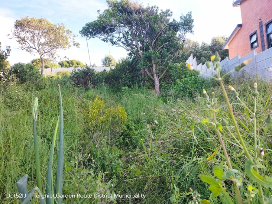 0 Bedroom Property for Sale in Tergniet Western Cape